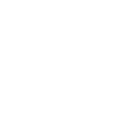 video button
