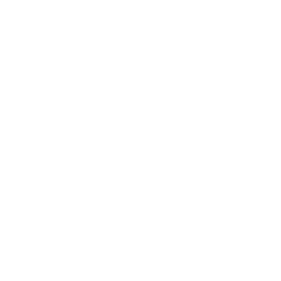 video button